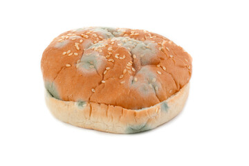 Rotten bun on white background