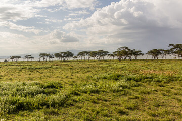 Fototapeta na wymiar Crescent Island Game Sanctuary on Naivasha lake, Kenya