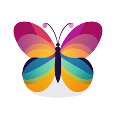 butterfly isolated on white