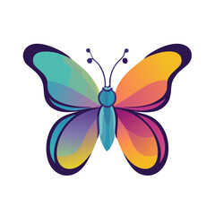 butterfly illustration