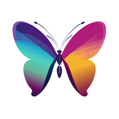 butterfly isolated on white