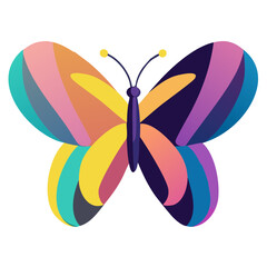 butterfly illustration