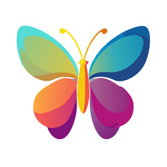 butterfly illustration