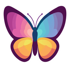 butterfly isolated on white background