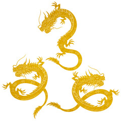 Fototapeta premium golden dragon on white background