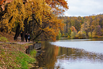 Fototapeta premium Autumn landscape with the image of a beautiful lake in the park