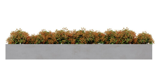 autumns Plant Brushes in concrete planter isolated on transparent background