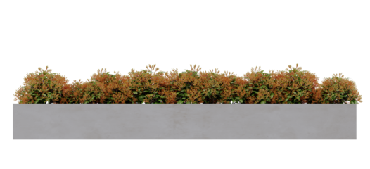 autumns Plant Brushes in concrete planter isolated on transparent background