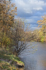 part of the shore in green grass and bushes near the water of the lake against the sky in the autumn park