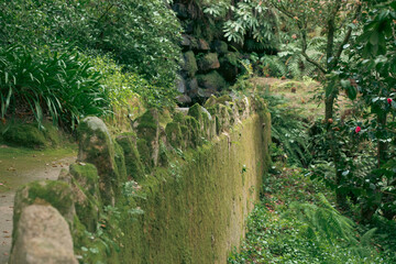 Old wall with moss in a garden 