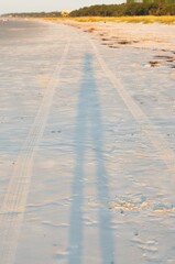 Beautiful vertical shot of a sandy beach tire tracks running across the sand