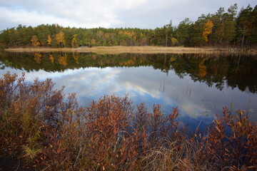 Tranquil scene of a small lake, Huddinge, Sweden