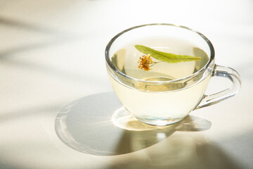 Fresh tea by dried linden leaves on the table