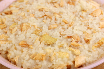 Rice porridge with apples in a bowl close-up.