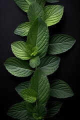 Mint leaves on dark background. Top view composition. Generative Ai