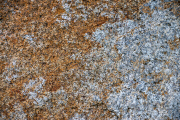 Lichen on a granite rock