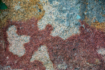 Lichen on a granite rock