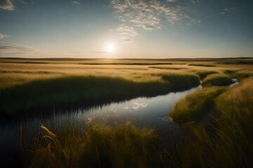 Fototapeta premium sunrise over swamp