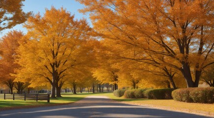 autumn in the park, fall colors in the park, autumn scene in the park, golden autumn seasone, autumn leaves