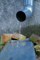 Rainwater flows from the water pipe. Blue tube. Bricks and a gray wall in the background.