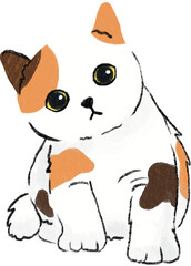 hand drawn cartoon of munchkin cat, color pencil drawing of kitten a house hold pet