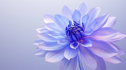  a blue and white flower on a gray background with a blurry background.  generative ai