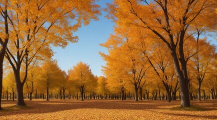 Naklejka na ściany i meble autumn in the park, fall colors in the park, autumn scene in the park, golden autumn seasone, autumn leaves