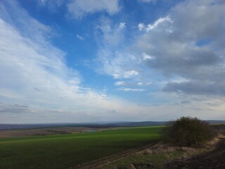 Fototapeta premium A field with grass and trees