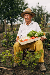 Old man sitting on a stool holding a crate with vegetables.