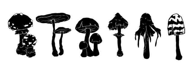 Set of silhouettes of forest mushrooms toadstools.Vector graphics.	