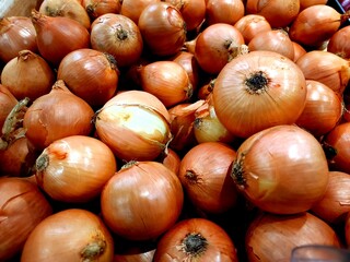 Fresh red onion from the farmer's market filling the frame
