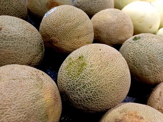 Cantaloupe melons filling the frame.