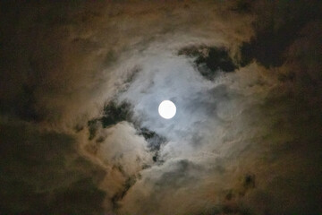 Obraz na płótnie Canvas full moon12