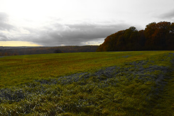 Couleurs de l'automne