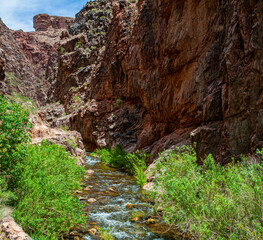 Obraz premium The North Kaibab Trail and Bright Angel Creek Running Through The Box, Grand Canyon National Park, Arizona, USA