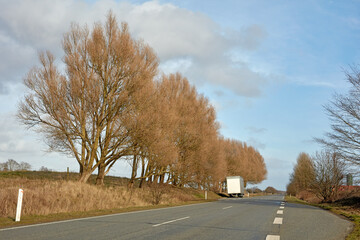 Fototapeta premium Trees along a highway street with cloudy blue sky background in the countryside during autumn with copy space. Scenic landscape to admire during a road trip. Route to travel through a dry meadow