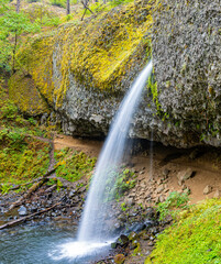 Ponytail Falls, Columbia Rive Gorge, Oregon, USA