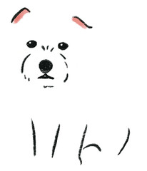 hand drawn cartoon illustration of dog pet in color pencil style.  drawing of household animal isolated. west highland white terrier
