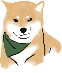 hand drawn cartoon illustration of dog pet in color pencil style.  drawing of household animal isolated. a shiba inu , a japanese dog