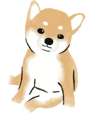 hand drawn cartoon illustration of dog pet in color pencil style.  drawing of household animal isolated. a shiba inu , a japanese dog