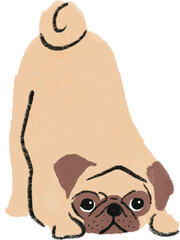 hand drawn cartoon illustration of dog pet in color pencil style.  drawing of household animal isolated. a pug