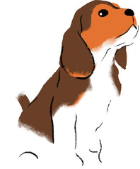 hand drawn cartoon illustration of dog pet in color pencil style.  drawing of household animal isolated. beagle