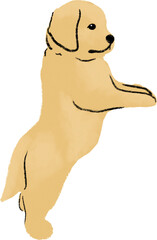 hand drawn cartoon illustration of dog pet in color pencil style.  drawing of household animal isolated.