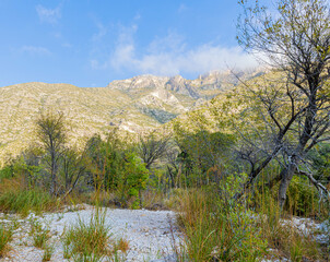 Wilderness Ridge Above McKittrick Canyon, Guadalupe Mountains National Park, Texas, USA