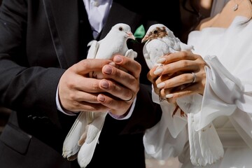 Closeup of a bride and a groom holding pigeons.