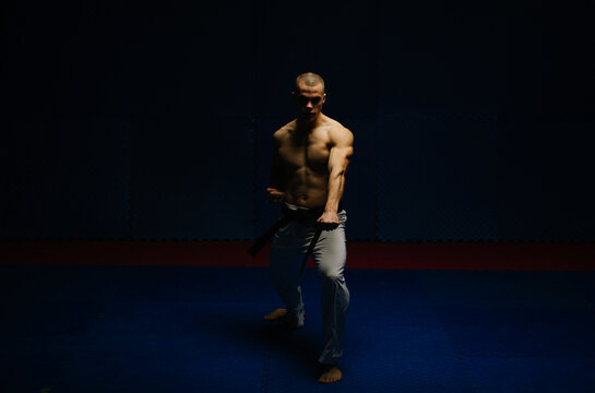 Good looking young man doing the Gedan Barai pose at the karate studio