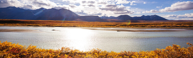 Autumn in polar tundra