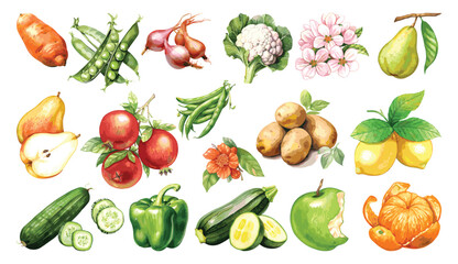 Watercolor painted collection of vegetables and fruits. Hand drawn fresh food design elements isolated on white background.