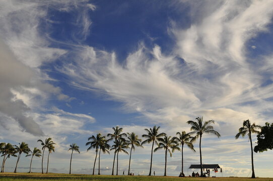 Waianae coast , palm trees, clouds, 