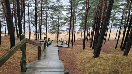 a long set of wooden stairs leading to the beach next to trees